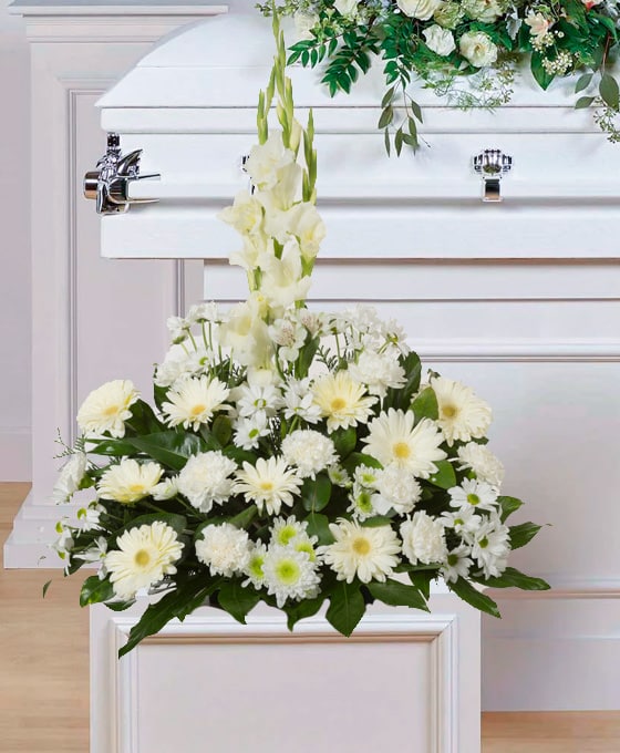 Centro de margaritas blancas para funerales de Zamora